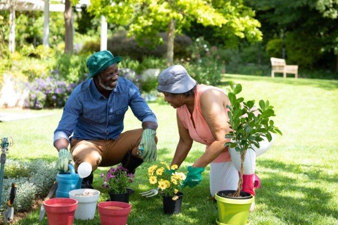As plantas necessitam de cuidados especiais no inverno (Imagem: wavebreakmedia | Shutterstock) - (crédito: EdiCase) As plantas necessitam de cuidados especiais no inverno (Imagem: wavebreakmedia | Shutterstock) - (crédito: EdiCase)