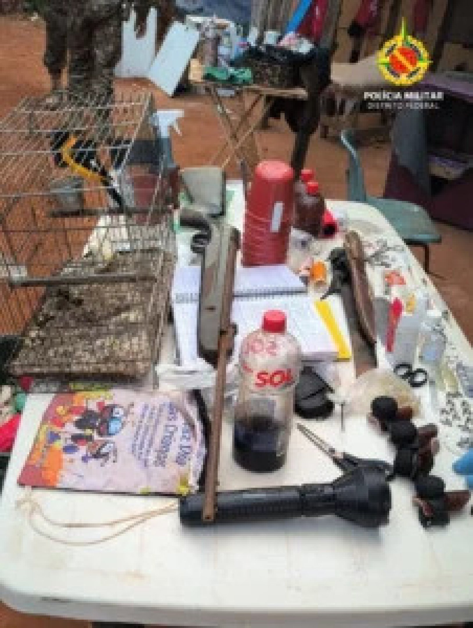 Os envolvidos, os animais e todo o material apreendido foram encaminhados &agrave; 16&ordf; Delegacia de Pol&iacute;cia (Planaltina)