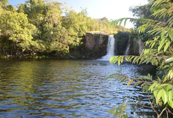 Divulgação/ Fazenda São Bento