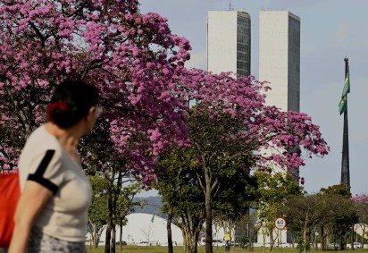Bom dia, Bras&iacute;lia! Dia ser&aacute; de c&eacute;u aberto -  (crédito: Carlos Vieira/CB/DA Press) -Bom dia, Bras&iacute;lia! Dia ser&aacute; de c&eacute;u aberto -  (crédito: Carlos Vieira/CB/DA Press)