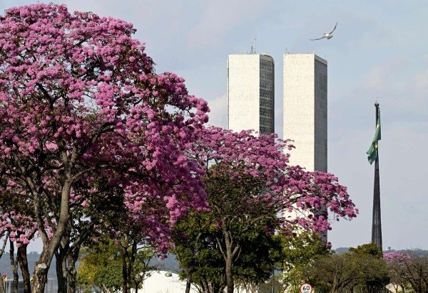 CARLOS VIEIRA