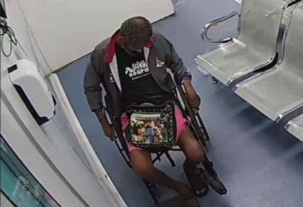 Reproduçao