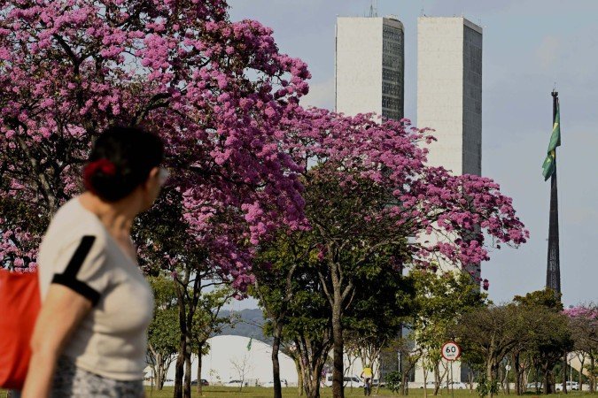 Bom dia, Brasília! Dia será de céu aberto - (crédito: Carlos Vieira/CB/DA Press) Bom dia, Brasília! Dia será de céu aberto - (crédito: Carlos Vieira/CB/DA Press)