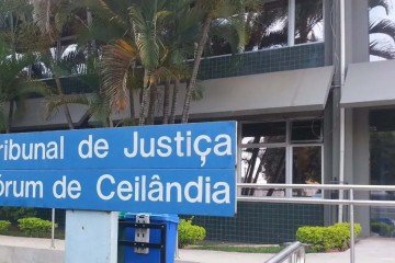 A decis&atilde;o foi tomada pela 2&ordf; Vara C&iacute;vel de Ceil&acirc;ndia, reconhecendo que a bab&aacute; violou o direito de imagem da fam&iacute;lia -  (crédito: TJDFT)