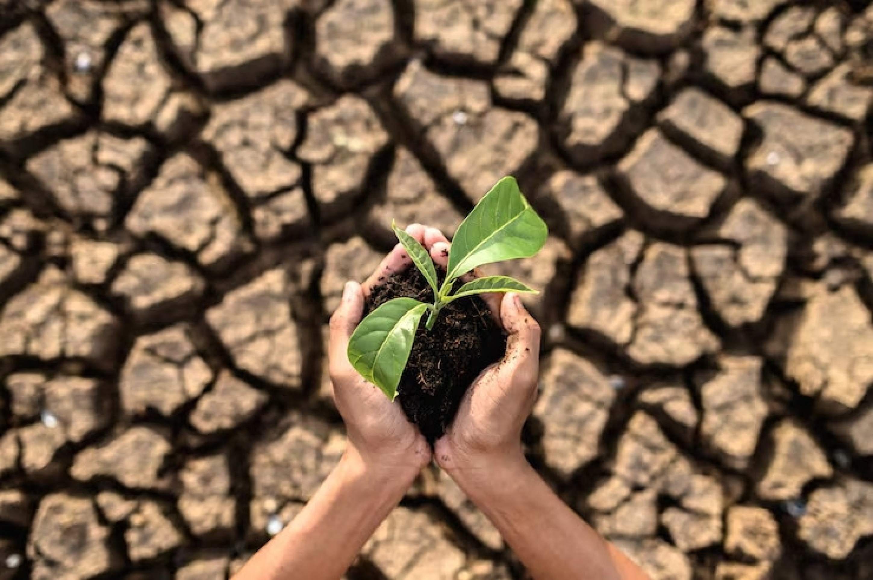 Comunidades amazônicas apresentam soluções para clima e conservação 