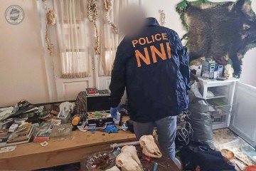 funcionário de hospital sendo preso em budapeste, Hungria  -  (crédito: reprodução/MagyarRend?rség)
