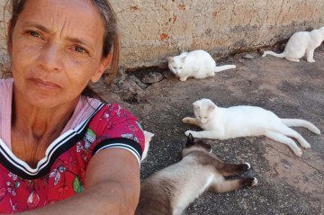 Grande parte dos recursos de Mirian é destinado aos animais. Em muitos momentos sua alimentação depende dos dias em que consegue trabalho como diarista -  (crédito: Divulga&ccedil;&atilde;o)