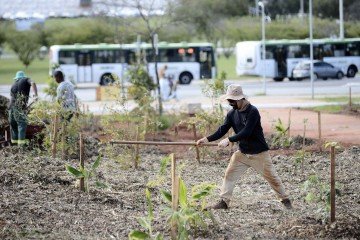 Área será dividida em quadrantes e permitirá que os visitantes percorram diferentes ambientes  -  (crédito: Fotos: Minervino Júnior/CB/D.A.Press)