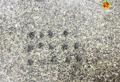 Em varredura, foram encontradas 14 porções de crack -  (crédito: Divulgação/PMDF) -Em varredura, foram encontradas 14 porções de crack -  (crédito: Divulgação/PMDF)