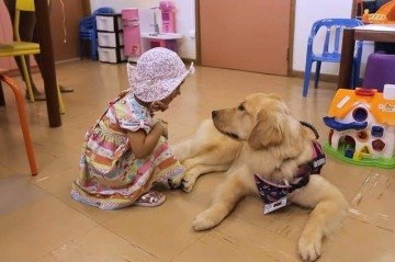 Palestra neste s&aacute;bado (27/6) trata sobre import&acirc;ncia de animais de suporte e tem entrada gratuita -  (crédito: Divulga&ccedil;&atilde;o)