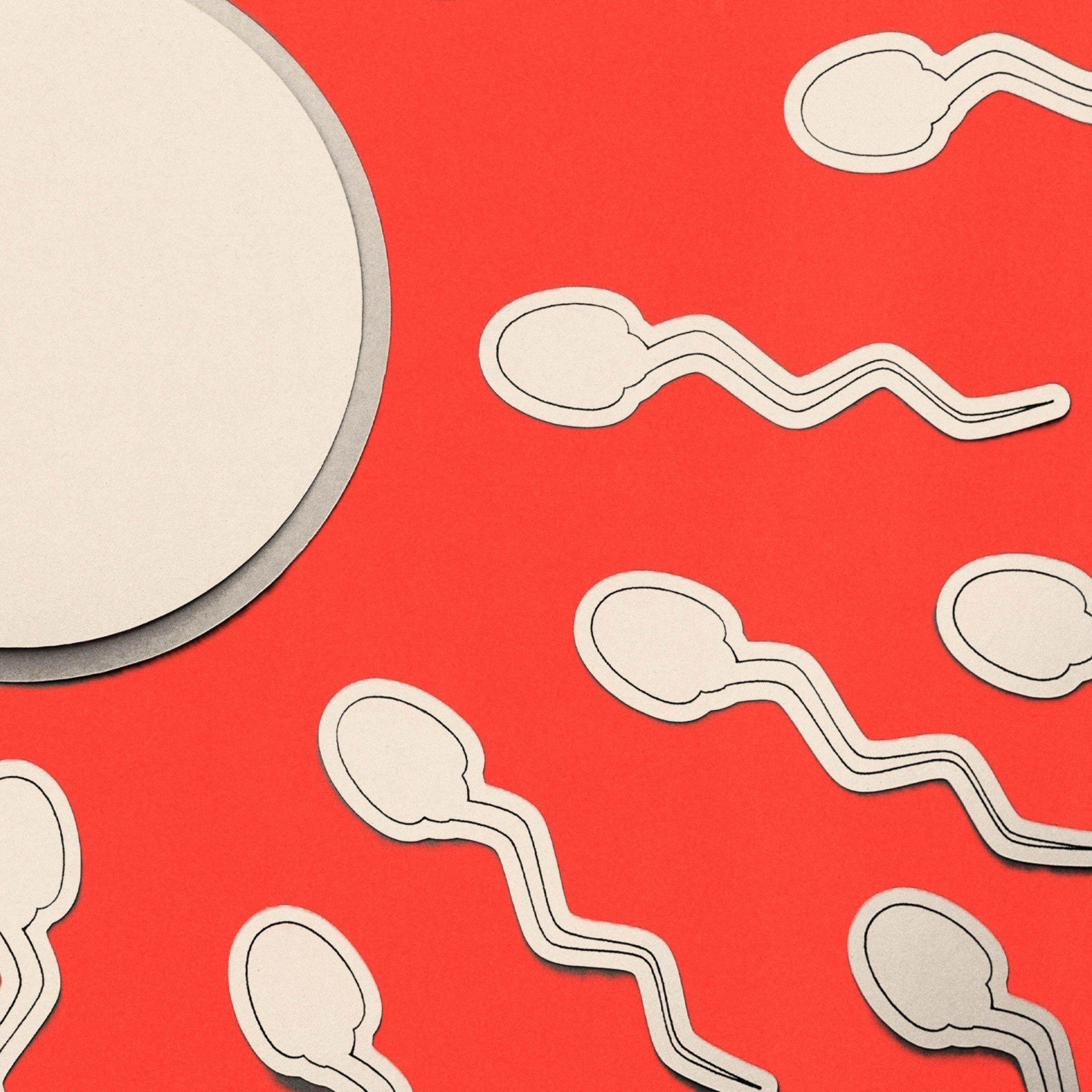 Como a infertilidade masculina ainda não recebe a atenção necessária