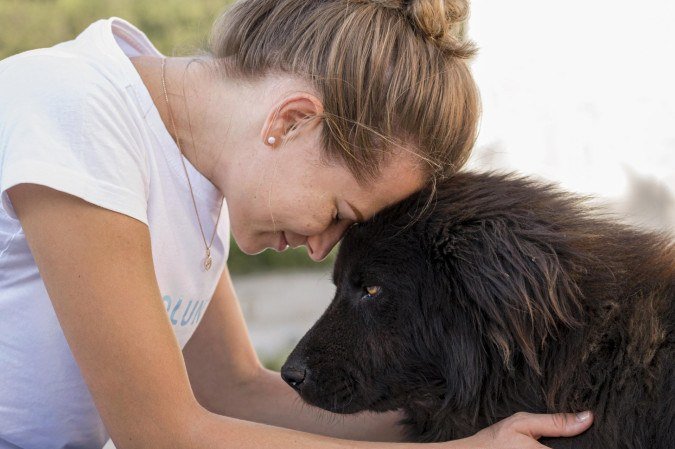 O tratamento promove uma conviv&ecirc;ncia mais saud&aacute;vel entre tutor e pet