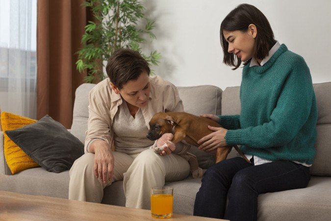 Entender para cuidar: o papel da terapia comportamental para pets