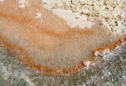 Pesquisa brasileira redefine micróbios e mira mistérios de Marte -  (crédito: Fleur de Sel/Wikimedia Commons) -Pesquisa brasileira redefine micróbios e mira mistérios de Marte -  (crédito: Fleur de Sel/Wikimedia Commons)