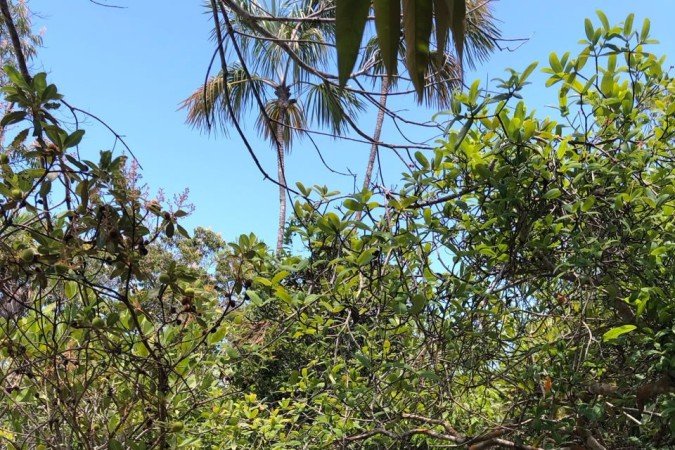 Parque Natural Municipal Lava-Pés, em Cavalcante (GO), na Chapada dos Veadeiros