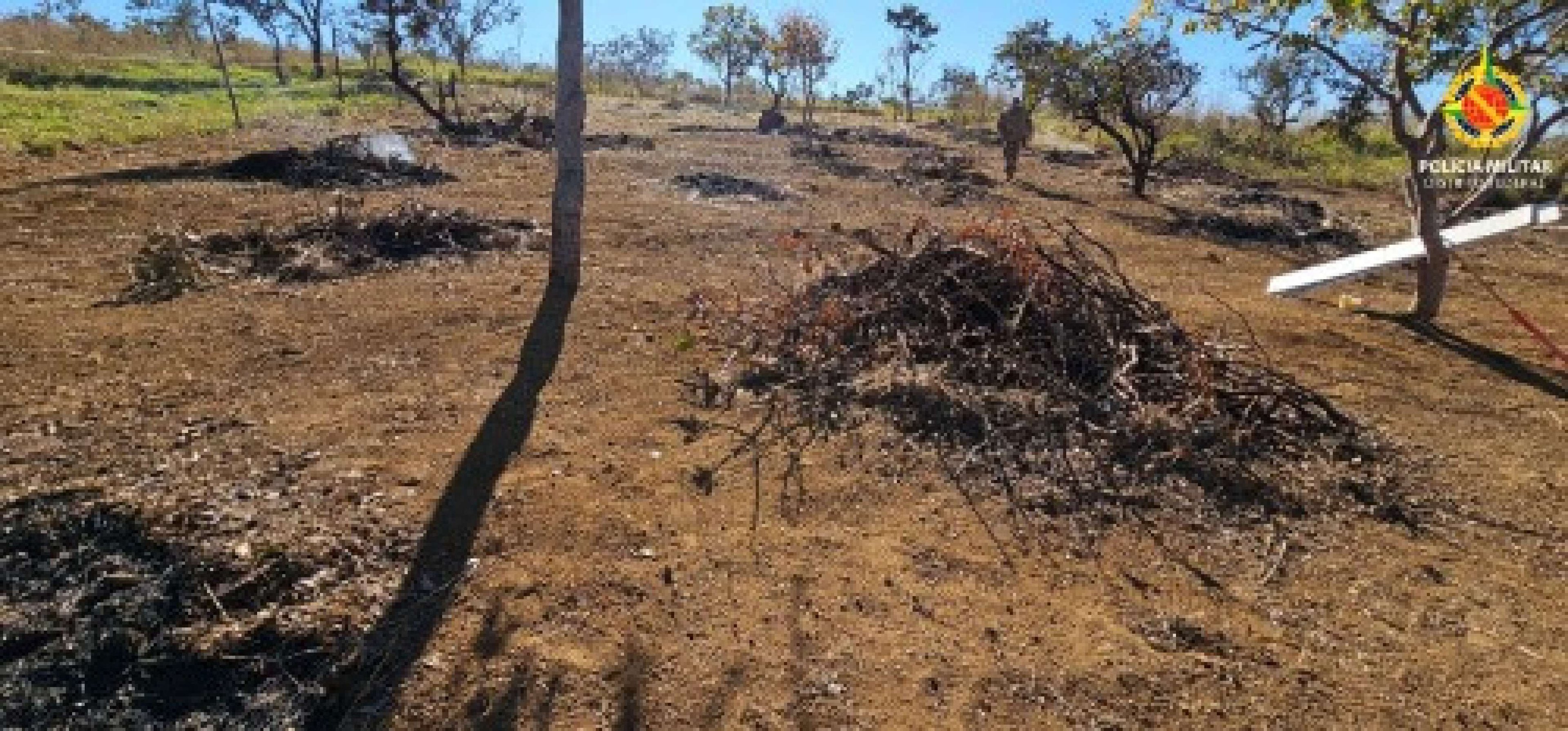 Homens são flagrados cometendo crime ambiental em São Sebastião