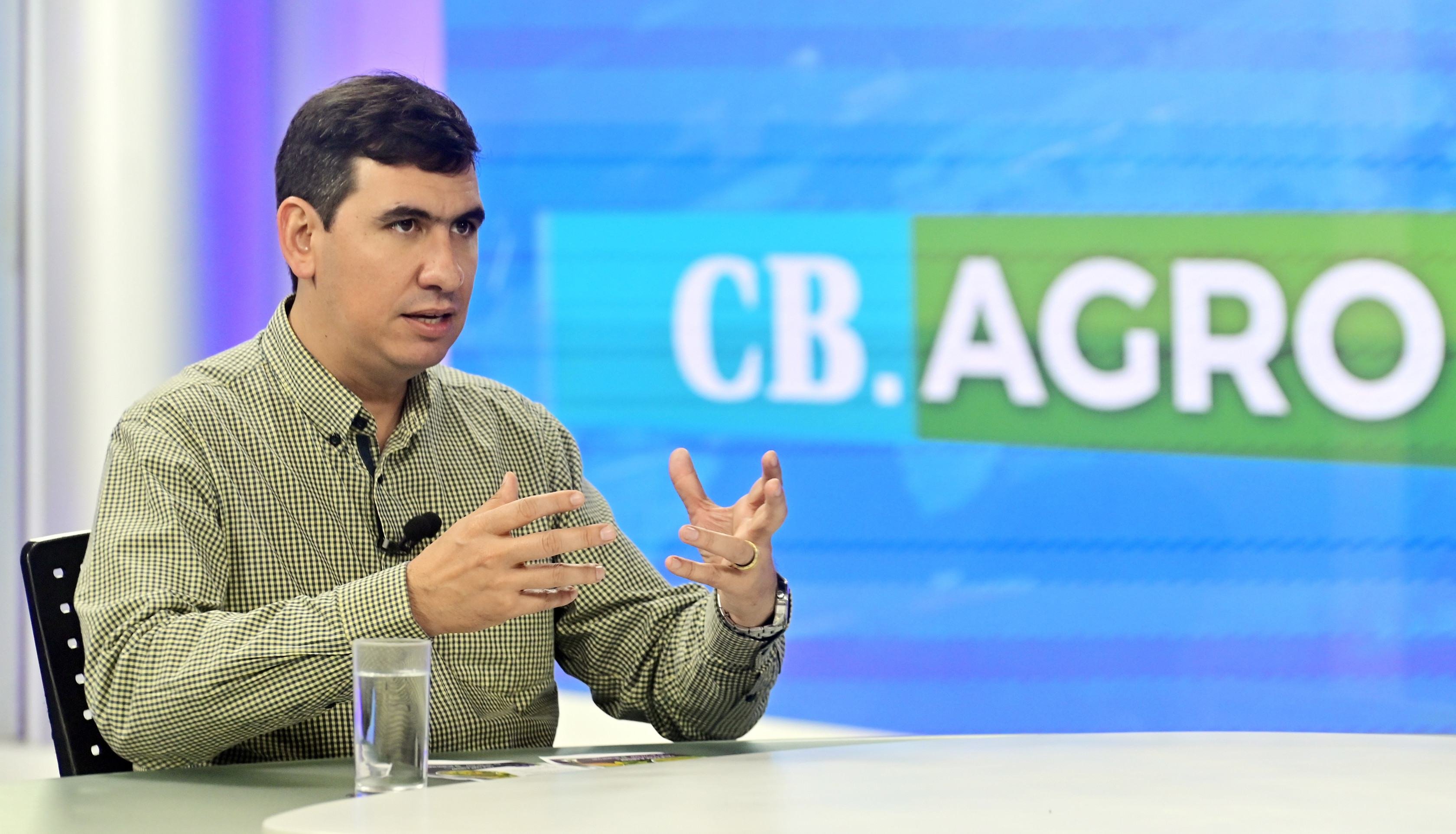 Cancro da videira coloca produção rural do DF em alerta