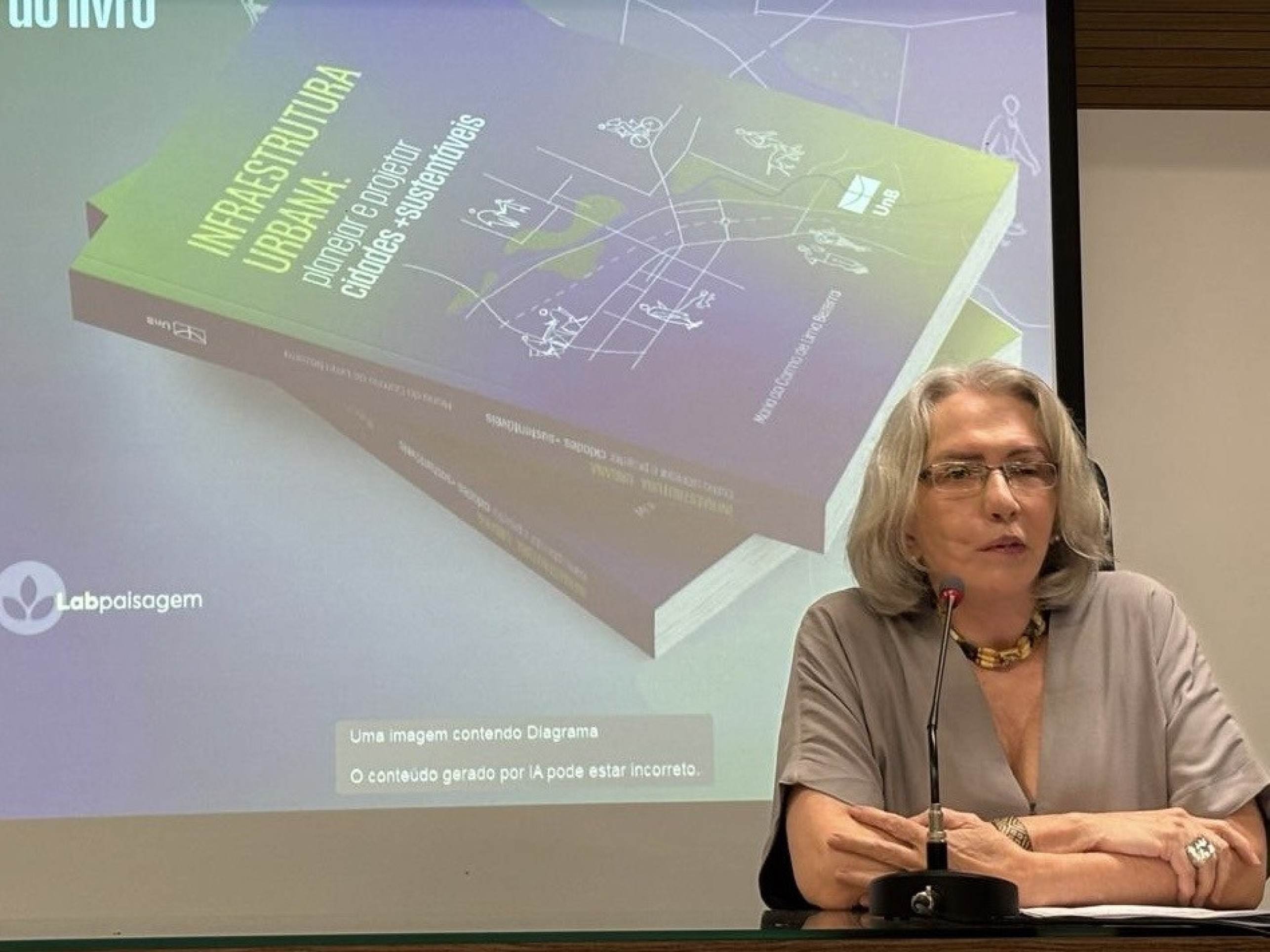 Drenagem é maior desafio urbano no país, diz professora da UnB