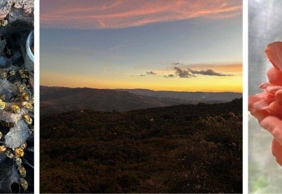 O que fazer em Nova Lima: experiências de reconexão com a natureza -  (crédito: Uai Turismo) -O que fazer em Nova Lima: experiências de reconexão com a natureza -  (crédito: Uai Turismo)