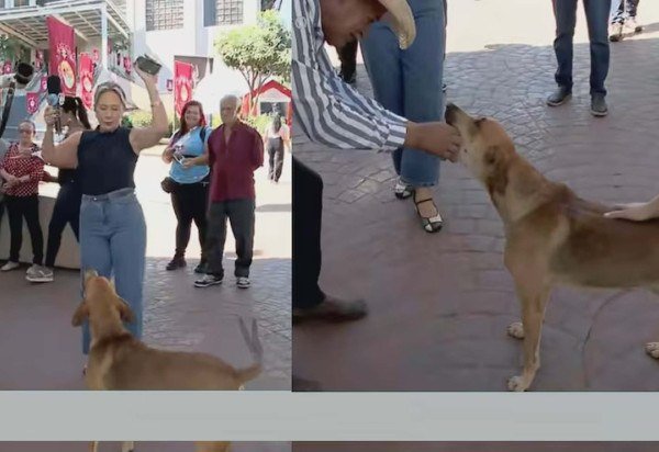 Reprodução de 'Jornal do Meio-Dia'/TV Serra Dourada