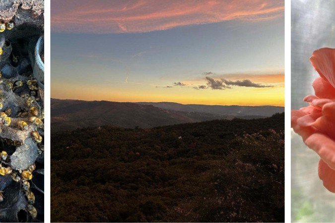 O que fazer em Nova Lima: experiências de reconexão com a natureza - (crédito: Uai Turismo) O que fazer em Nova Lima: experiências de reconexão com a natureza - (crédito: Uai Turismo)