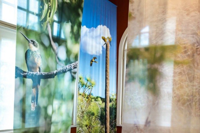 Um Cerrado Assim, reúne grandes fotocolagens impressas em seda e organza, com quase três metros de altura