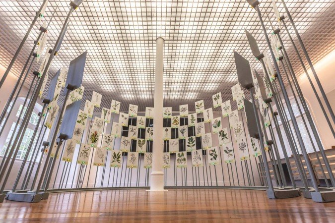 Painel apresenta dados sobre as espécies vegetais identificadas e avaliadas quanto ao risco de extinção