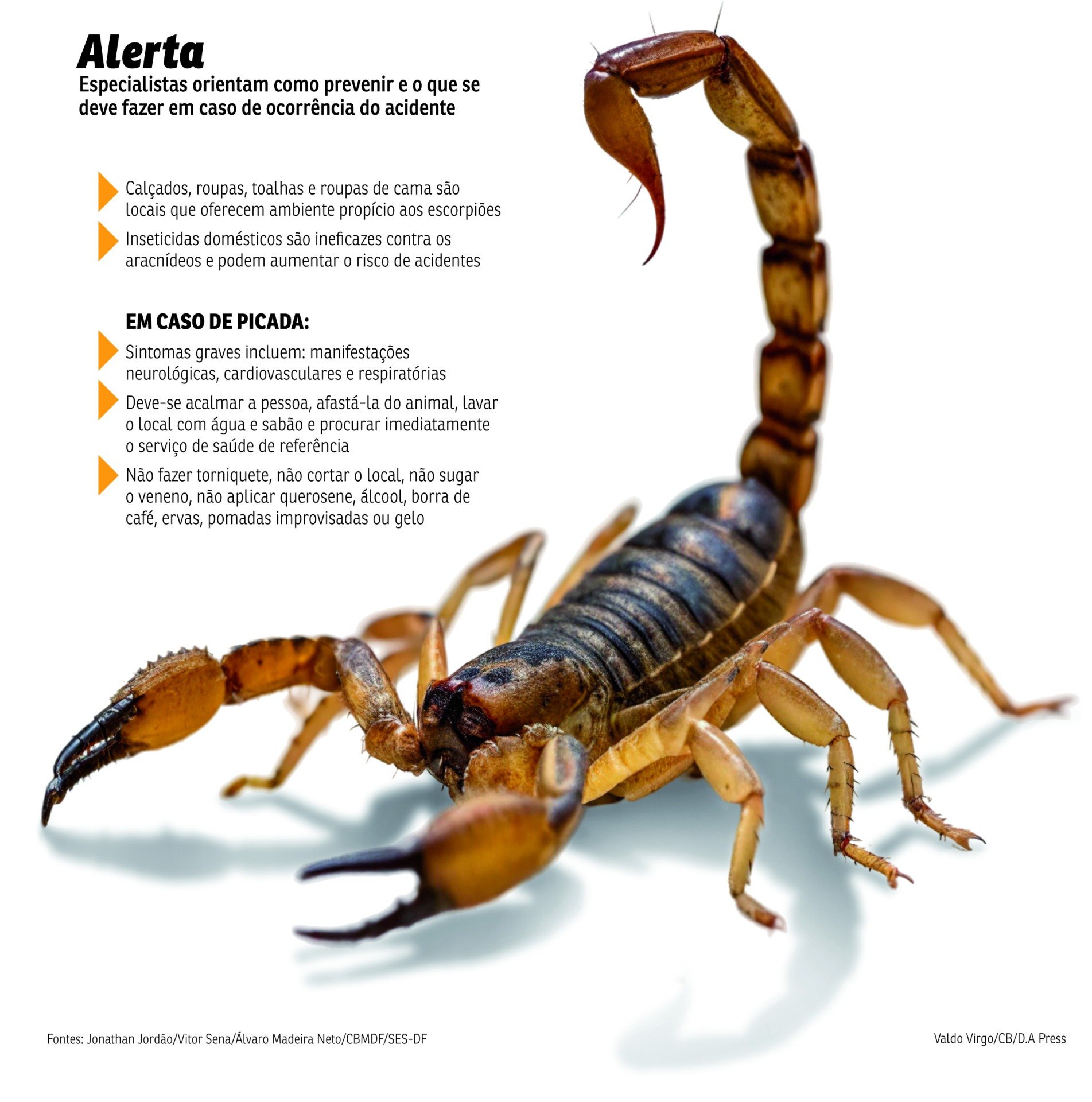 CID-Escorpi&atilde;o