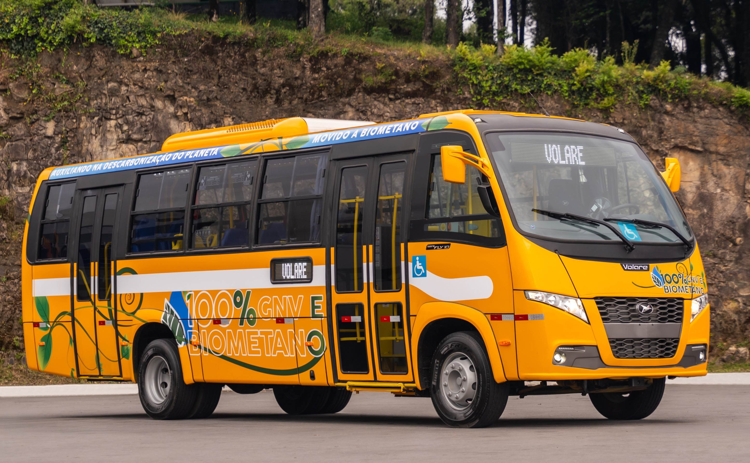 Volare aposta em sustentabilidade e personalização no setor de mobilidade