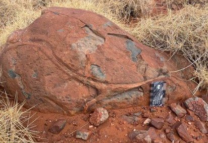 Rochas antigas do Cr&aacute;ton de Pilbara, como esta, revelaram o papel crucial da &aacute;gua na atividade vulc&acirc;nica e forma&ccedil;&atilde;o da Terra primitiva h&aacute; 3 bilh&otilde;es de anos. -  (crédito: Adelaide University) -Rochas antigas do Cr&aacute;ton de Pilbara, como esta, revelaram o papel crucial da &aacute;gua na atividade vulc&acirc;nica e forma&ccedil;&atilde;o da Terra primitiva h&aacute; 3 bilh&otilde;es de anos. -  (crédito: Adelaide University)