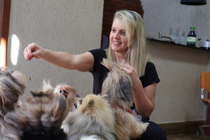  Julho movimentam n&atilde;o apenas aeroportos e rodovi&aacute;rias, mas tamb&eacute;m os hot&eacute;is para animais de estima&ccedil;&atilde;o. 