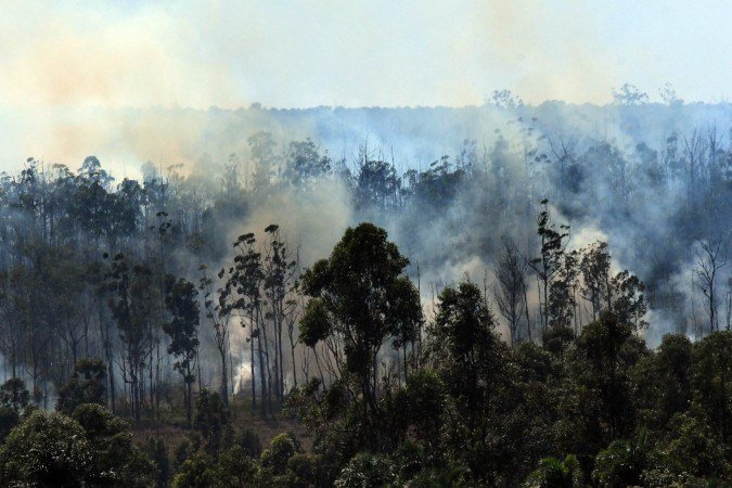  08/07/2026 Cr&eacute;dito: Marcelo Ferreira/CB/D.A Press. Brasil. Bras&iacute;lia - DF -  Flona - Floresta Nacional - Aceiro &eacute; feito na mata da Floresta Nacional para combater futuros inc&ecirc;ndios, 