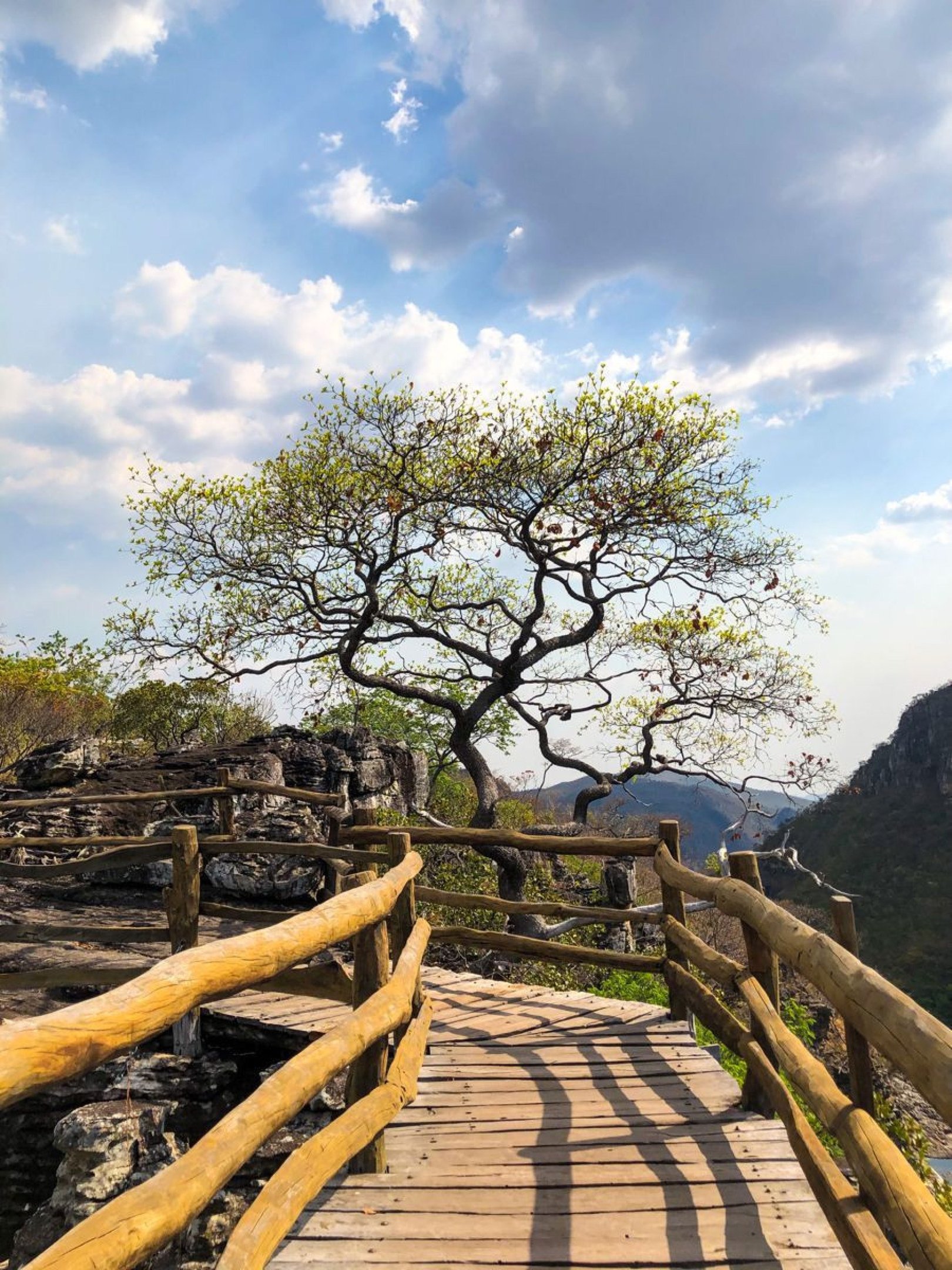 Chapada dos Veadeiros varia de 230 km a 325 km, dependendo do seu destino final