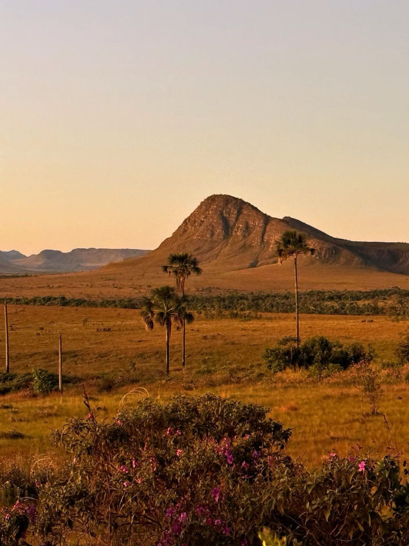 Chapada dos Veadeiros varia de 230 km a 325 km, dependendo do seu destino final