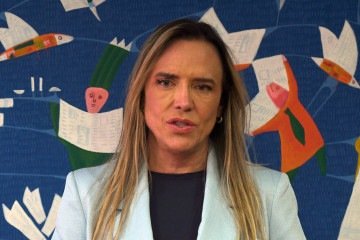 Celina afirmou que todas as imagens do sistema de monitoramento da rede pública estão sendo disponibilizadas às famílias e às autoridades responsáveis pelas investigações - (crédito: Marcelo Ferreira/CB/D.A Press) Celina afirmou que todas as imagens do sistema de monitoramento da rede pública estão sendo disponibilizadas às famílias e às autoridades responsáveis pelas investigações - (crédito: Marcelo Ferreira/CB/D.A Press)