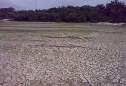 Rio Negro, no Amazonas: El Niño pode reduzir a chuva na Região norte do Brasil  -  (crédito: Wikemedia Commons/Divulgação ) -Rio Negro, no Amazonas: El Niño pode reduzir a chuva na Região norte do Brasil  -  (crédito: Wikemedia Commons/Divulgação )