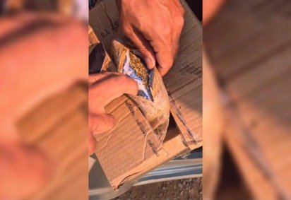 PCDF prende traficantes que atuavam no abastecimento de drogas para o DF -  (crédito: PCDF/Divulgação) -PCDF prende traficantes que atuavam no abastecimento de drogas para o DF -  (crédito: PCDF/Divulgação)