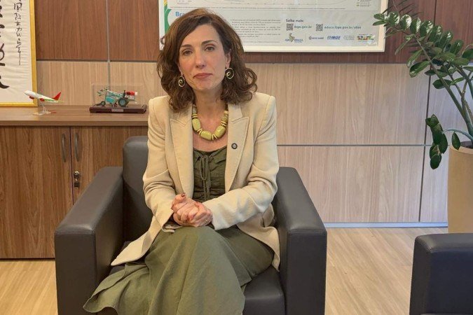 "70% das dívidas do Desenrola Rural eram inferiores a R$ 10 mil", diz ministra