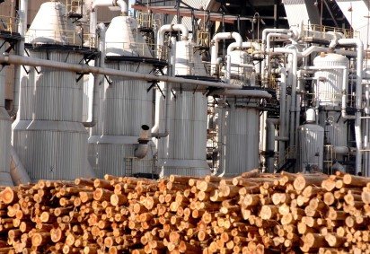 Fábricas de celulose podem diversificar seus produtos e conectá-los a mercados mais sofisticados -  (crédito:  Carlos Vieira/CB/D.A Press)