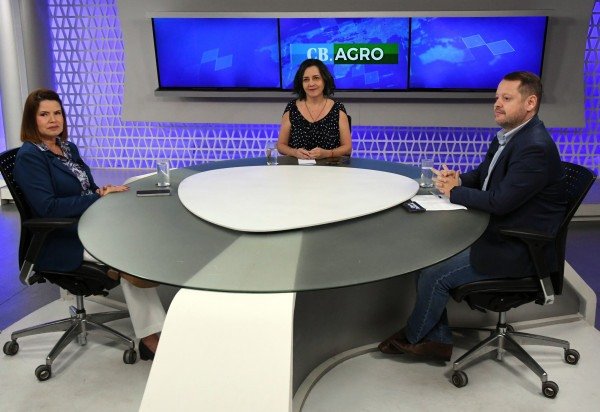 Marcelo Ferreira/CB/D.A Press