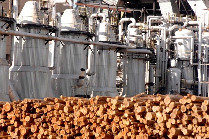Fábricas de celulose podem diversificar seus produtos e conectá-los a mercados mais sofisticados - (crédito: Carlos Vieira/CB/D.A Press) Fábricas de celulose podem diversificar seus produtos e conectá-los a mercados mais sofisticados - (crédito: Carlos Vieira/CB/D.A Press)