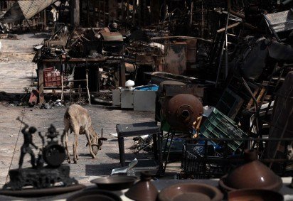  A goat is pictured next to potteries in the burnt courtyard of a house after a wildfire that killed at least 12 people, in Bedar, Almeria Province, on July 11, 2026. A wildfire that has killed at least 12 people in southern Spain has burned about 6,600 hectares (16,300 acres) since July 9 but conditions improved during the night, the regional emergency services chief said on July 11. (Photo by JORGE GUERRERO / AFP)
       -  (crédito: Jorge Guerrero/AFP) - A goat is pictured next to potteries in the burnt courtyard of a house after a wildfire that killed at least 12 people, in Bedar, Almeria Province, on July 11, 2026. A wildfire that has killed at least 12 people in southern Spain has burned about 6,600 hectares (16,300 acres) since July 9 but conditions improved during the night, the regional emergency services chief said on July 11. (Photo by JORGE GUERRERO / AFP)
       -  (crédito: Jorge Guerrero/AFP)