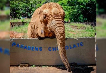 Em nota oficial, o Zoológico de Brasília condenou a atitude e destacou o perigo desse tipo decomportamento -  (crédito: Reprodução/Agência Brasília ) -Em nota oficial, o Zoológico de Brasília condenou a atitude e destacou o perigo desse tipo decomportamento -  (crédito: Reprodução/Agência Brasília )