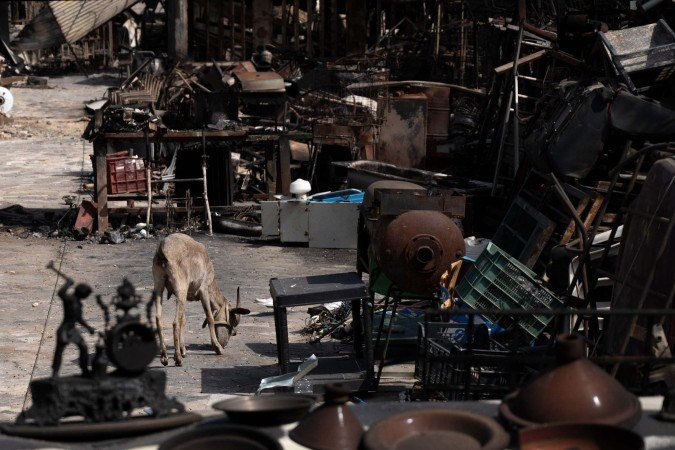 A goat is pictured next to potteries in the burnt courtyard of a house after a wildfire that killed at least 12 people, in Bedar, Almeria Province, on July 11, 2026. A wildfire that has killed at least 12 people in southern Spain has burned about 6,600 hectares (16,300 acres) since July 9 but conditions improved during the night, the regional emergency services chief said on July 11. (Photo by JORGE GUERRERO / AFP)
- (crédito: Jorge Guerrero/AFP) A goat is pictured next to potteries in the burnt courtyard of a house after a wildfire that killed at least 12 people, in Bedar, Almeria Province, on July 11, 2026. A wildfire that has killed at least 12 people in southern Spain has burned about 6,600 hectares (16,300 acres) since July 9 but conditions improved during the night, the regional emergency services chief said on July 11. (Photo by JORGE GUERRERO / AFP)
- (crédito: Jorge Guerrero/AFP)