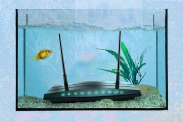 As coisas mais estranhas que podem piorar o sinal de wi-fi da sua casa - (crédito: Getty Images) As coisas mais estranhas que podem piorar o sinal de wi-fi da sua casa - (crédito: Getty Images)