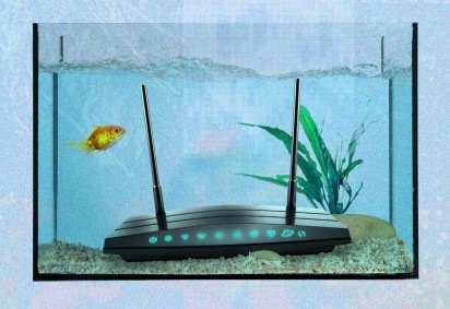 As coisas mais estranhas que podem piorar o sinal de wi-fi da sua casa -  (crédito: Getty Images) -As coisas mais estranhas que podem piorar o sinal de wi-fi da sua casa -  (crédito: Getty Images)