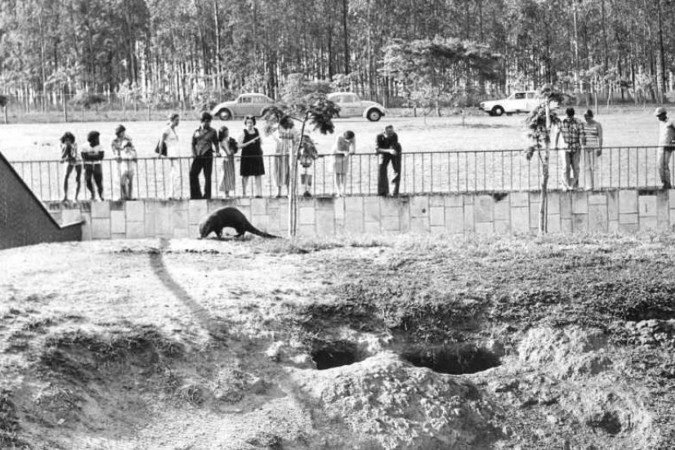 Esta foto foi publicada originalmente na edi&ccedil;&atilde;o de 31 de agosto de 1977 do Correio.