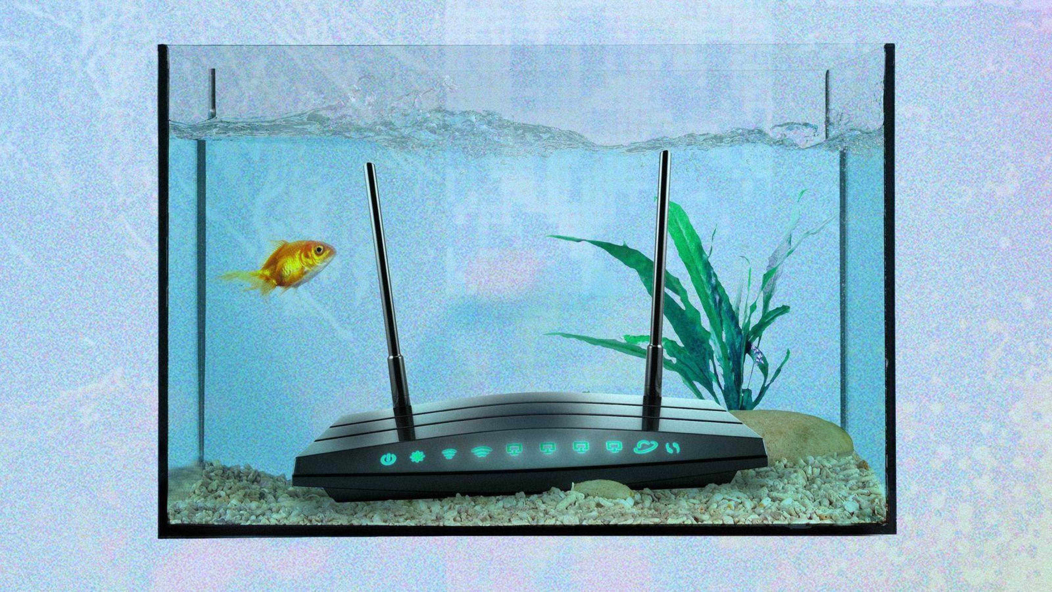 As coisas mais estranhas que podem piorar o sinal de wi-fi da sua casa