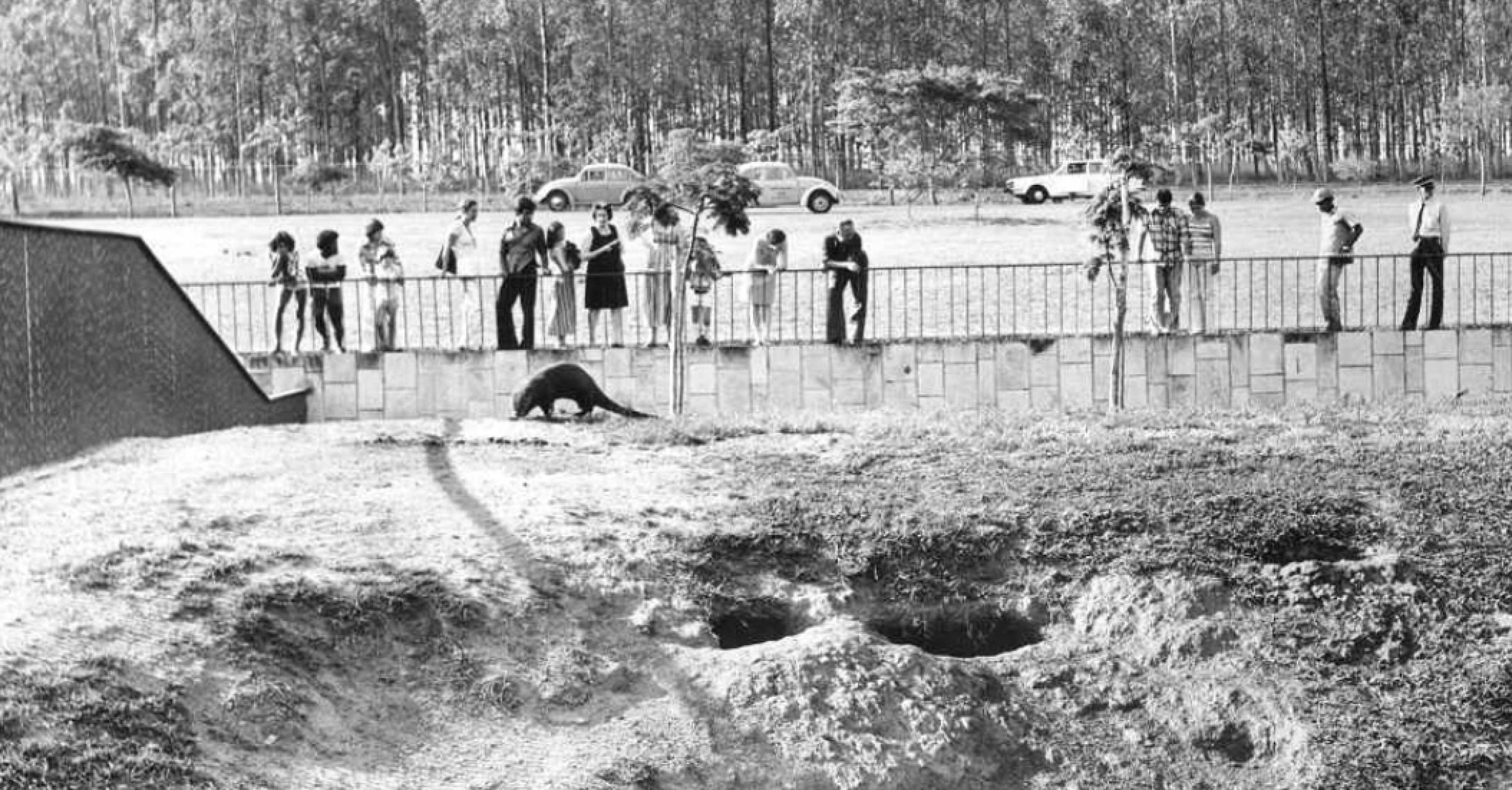 Esta foto foi publicada originalmente na edi&ccedil;&atilde;o de 31 de agosto de 1977 do Correio.