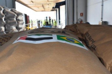 A ação é coordenada pela Agência Brasileira de Cooperação (ABC), vinculada ao Ministério das Relações Exteriores

 -  (crédito: Ministério de Relações Exteriores)